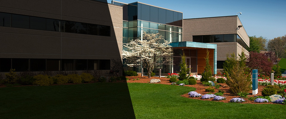 Beaufort Landscapers