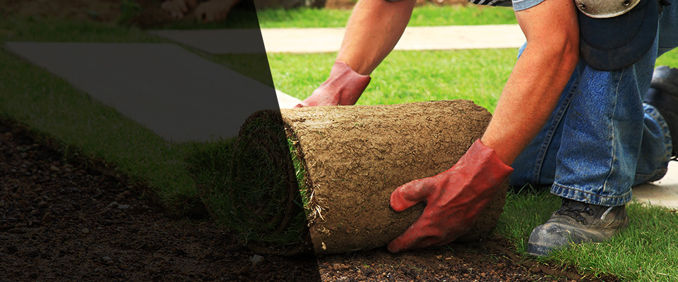 Beaufort Landscapers